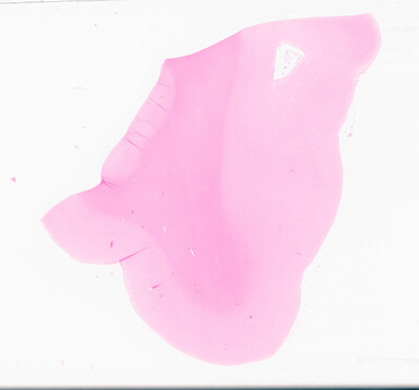 ['deident_ee5542bf-ba2e-4ad5-a381-0bb6c82fea67_69d95004.jpg']