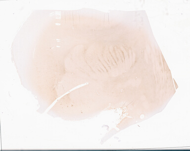 ['deident_1cce6e12-ac3a-4ab2-ac8b-f98703f5a38f_69d94f94.jpg']