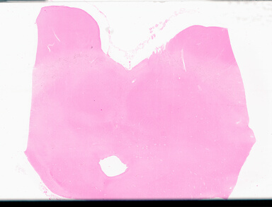 ['deident_b1286eeb-70b4-4780-8504-06cc04cf8f77_69d94fe0.jpg']