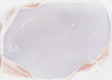 ['deident_19b8bdf0-2e2c-4179-878f-9bd6e69c6cec_69b049c9.jpg']