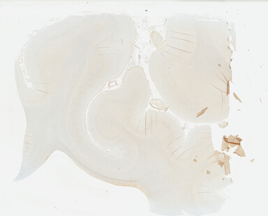 ['deident_bee44101-cd94-4522-936b-11e7ea44a44f_69b049fd.jpg']