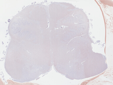 ['deident_c02098ba-ed9c-4d60-b2a4-d12963545f10_69b043a2.jpg']