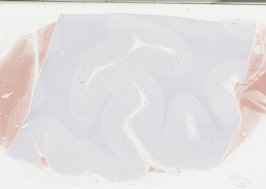 ['deident_0c390bf5-798e-47fc-ac6c-078a230347ba_69b04118.jpg']