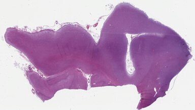 ['deident_26c86485-de4b-4a47-8a1c-a3910664db5e_69b04120.jpg']