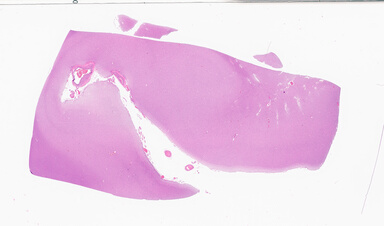 ['deident_af6b12b6-6b92-4d3b-bb7f-da865930c1f2_69d92a2e.jpg']