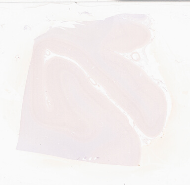 ['deident_b3e2bda5-82cf-42ae-b343-d4e55653cbde_69d92a40.jpg']