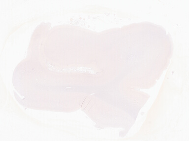 ['deident_0396a2fb-a999-40b5-8c33-9854d90413b0_69d92814.jpg']