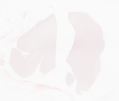 ['deident_7bdf6b19-1ff2-4a88-9088-23d29edaaeed_69d92997.jpg']