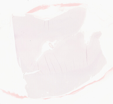 ['deident_11adf0b8-aaec-4538-9568-8d798591c065_69d9281b.jpg']