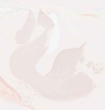 ['deident_32e96a56-8d4f-4dab-80a1-e767283950d3_69d928b8.jpg']