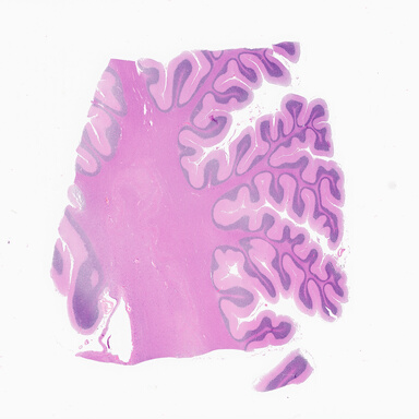 ['deident_1be70dbc-bb7d-4374-89ce-29773aa08741_69d9285a.jpg']