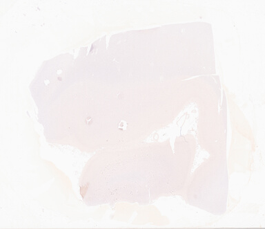 ['deident_493ced45-b9cf-4429-ad7b-2795f5e20191_69d928d2.jpg']