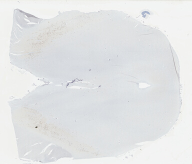 ['deident_228e4c9b-aaa4-4fc2-9d22-f29937ab75b4_695fccf3.jpg']
