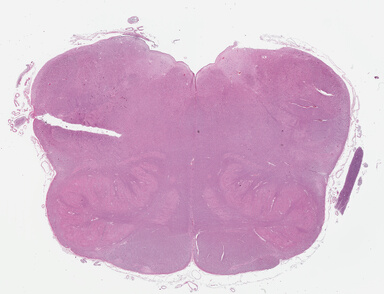 ['deident_ca9d64a6-5333-46d3-9705-e8db7e053de3_695fcd1c.jpg']