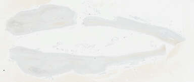 ['deident_65aa8b2f-19f1-47fc-8e35-476ec9c498aa_695fcd05.jpg']