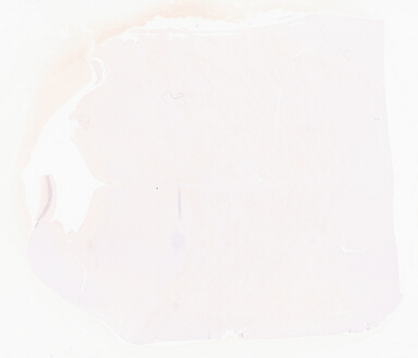 ['deident_fb77cbcf-4333-4df6-b133-799e16fd8dbb_695fcd2a.jpg']