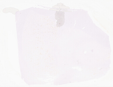 ['deident_b3cf66b8-e413-4e11-9ff0-16de960530b7_69d96721.jpg']