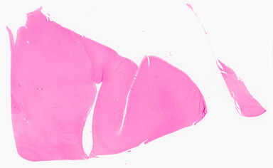 ['deident_e4cee7d6-ce4f-43fc-9eee-4fd00100ec1c_69d9673d.jpg']
