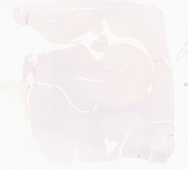 ['deident_cab1dde1-4563-491c-a1f2-c22c86526899_69d96732.jpg']