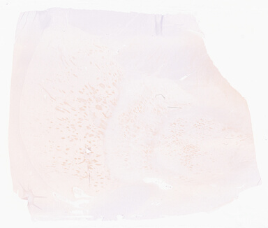 ['deident_cac5076c-535c-406f-bf83-7293f089e772_69d96733.jpg']