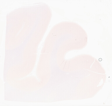 ['deident_dfe54fbe-0f57-410b-9596-d2b659f2aaca_69d9673c.jpg']