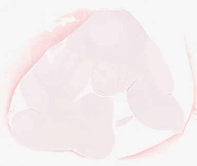 ['deident_d939f220-f7b3-4dcf-947f-e573cb4f1119_69d941af.jpg']