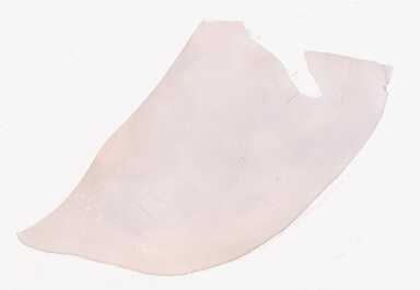 ['deident_b35b39cf-f8be-49fc-956f-f571d06f46fc_69d94196.jpg']