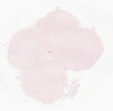 ['deident_bcec9214-0b0c-4d0a-b505-3643fc32005e_69d9419e.jpg']